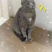 ヒメ日記 2025/11/29 22:21 投稿 神楽◇かぐら 人妻吐息