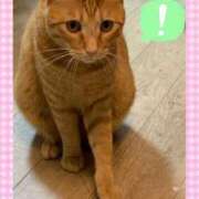 ヒメ日記 2025/12/05 20:02 投稿 神楽◇かぐら 人妻吐息