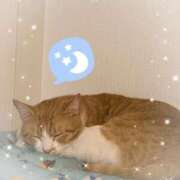 神楽◇かぐら おやすみなさい💤 人妻吐息