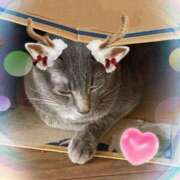 ヒメ日記 2025/12/24 23:31 投稿 神楽◇かぐら 人妻吐息