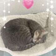 ヒメ日記 2026/01/11 21:01 投稿 神楽◇かぐら 人妻吐息