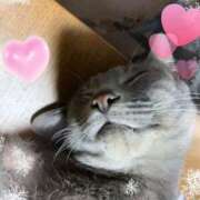 ヒメ日記 2026/02/07 22:14 投稿 神楽◇かぐら 人妻吐息