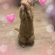 ヒメ日記 2026/03/24 19:26 投稿 神楽◇かぐら 人妻吐息