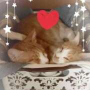 ヒメ日記 2026/04/12 17:56 投稿 神楽◇かぐら 人妻吐息