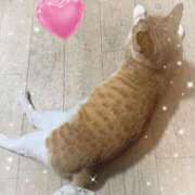 ヒメ日記 2026/05/29 22:16 投稿 神楽◇かぐら 人妻吐息
