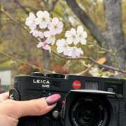 ヒメ日記 2026/03/29 18:08 投稿 ちびとり 大阪ニューハーフヘルス ルピナスハーフ梅田