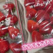 ヒメ日記 2025/04/14 11:20 投稿 まほ スピードエコ天王寺店