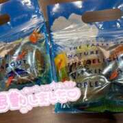 ヒメ日記 2025/06/22 03:40 投稿 まほ スピードエコ天王寺店