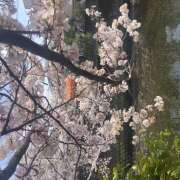 ヒメ日記 2025/04/14 14:20 投稿 ふうか イエローキャブ