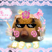 ヒメ日記 2025/07/31 11:26 投稿 ふうか イエローキャブ