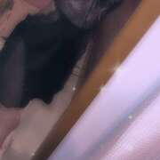 ふうか あした、おやすみいたします イエローキャブ