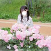 ヒメ日記 2025/06/04 07:01 投稿 あさひ パンチラJK