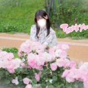 ヒメ日記 2025/07/27 12:03 投稿 あさひ パンチラJK