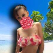 ヒメ日記 2025/08/12 12:25 投稿 美浜 川崎三浦屋