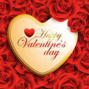 ヒメ日記 2026/02/12 09:16 投稿 美浜 川崎三浦屋