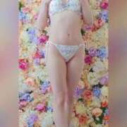 ヒメ日記 2025/03/29 15:42 投稿 あきな モアグループ 土浦人妻花壇