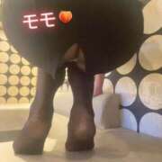 ヒメ日記 2025/02/08 19:37 投稿 もも パンスト熟女はいやらしい