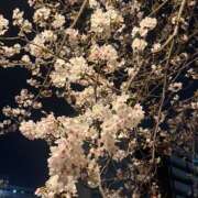 キキ 21時~空きです🔥 横浜パフパフチェリーパイ