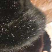 ヒメ日記 2025/11/08 01:29 投稿 やよい 完熟ばなな札幌・すすきの