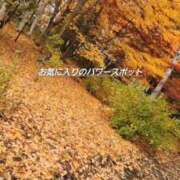 ヒメ日記 2025/12/23 16:09 投稿 やよい 完熟ばなな札幌・すすきの