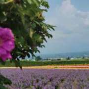 やよい 台湾永住 完熟ばなな札幌・すすきの