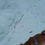 ヒメ日記 2026/02/22 10:07 投稿 やよい 完熟ばなな札幌・すすきの