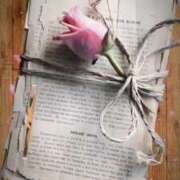 ヒメ日記 2026/03/13 00:49 投稿 やよい 完熟ばなな札幌・すすきの