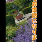 ヒメ日記 2026/07/01 16:29 投稿 やよい 完熟ばなな札幌・すすきの