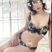 ヒメ日記 2024/12/11 10:16 投稿 石原みほ 華椿