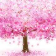 ヒメ日記 2025/04/06 09:13 投稿 しゅり 熟女の風俗最終章 高崎店