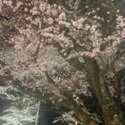 ヒメ日記 2025/04/08 23:27 投稿 しゅり 熟女の風俗最終章 高崎店