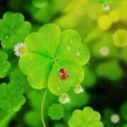 ヒメ日記 2025/12/04 20:43 投稿 しゅり 熟女の風俗最終章 高崎店