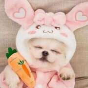 ヒメ日記 2026/02/09 11:18 投稿 しゅり 熟女の風俗最終章 高崎店