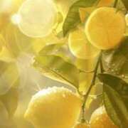 ヒメ日記 2026/03/09 14:38 投稿 しゅり 熟女の風俗最終章 高崎店