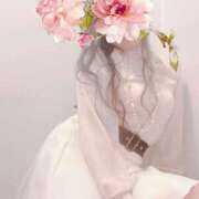 ヒメ日記 2025/03/19 11:42 投稿 長田 あんり HANA-okinawa-