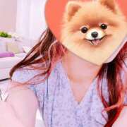 ヒメ日記 2025/06/06 08:42 投稿 長田 あんり HANA-okinawa-