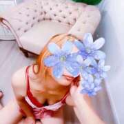 ヒメ日記 2026/02/19 11:48 投稿 長田 あんり HANA-okinawa-