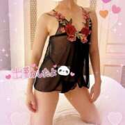 ヒメ日記 2025/04/12 12:24 投稿 ことね 上野回春性感マッサージ倶楽部