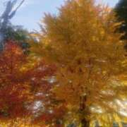 ヒメ日記 2024/12/08 12:51 投稿 小林みすず 大阪ぽっちゃり妻