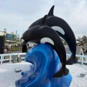 ヒメ日記 2025/09/14 16:06 投稿 小林みすず 大阪ぽっちゃり妻