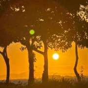 ヒメ日記 2025/10/14 06:09 投稿 小林みすず 大阪ぽっちゃり妻