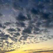 ヒメ日記 2025/11/17 08:11 投稿 小林みすず 大阪ぽっちゃり妻