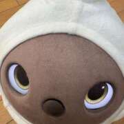 ヒメ日記 2025/11/18 23:23 投稿 小林みすず 大阪ぽっちゃり妻