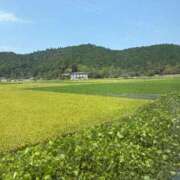 ヒメ日記 2025/11/29 09:17 投稿 小林みすず 大阪ぽっちゃり妻