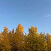 ヒメ日記 2025/12/03 07:05 投稿 小林みすず 大阪ぽっちゃり妻