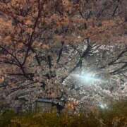 ヒメ日記 2026/04/06 20:21 投稿 小林みすず 大阪ぽっちゃり妻