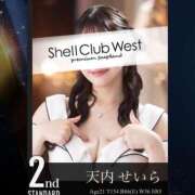 ヒメ日記 2025/10/04 11:30 投稿 天内　せいら シェルクラブ・ウエスト