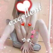 ゆめ 本日、最終日です !!! 鴨川excellent
