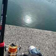 ヒメ日記 2025/05/05 12:51 投稿 鏡音　りん ノーパンパンスト スケベなOL梅田・兎我野店