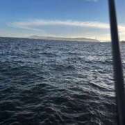 ヒメ日記 2025/07/22 16:39 投稿 鏡音　りん ノーパンパンスト スケベなOL梅田・兎我野店